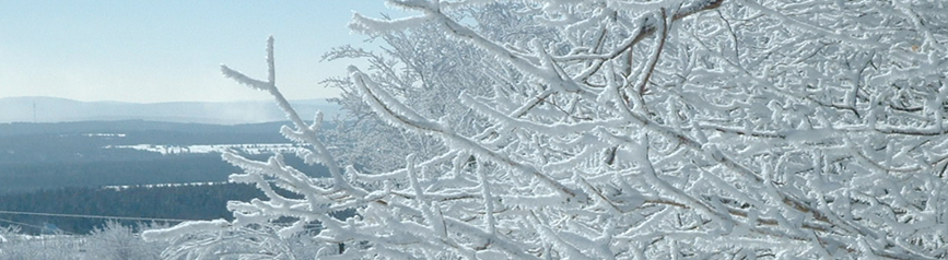 Breckenridge Professional Services
